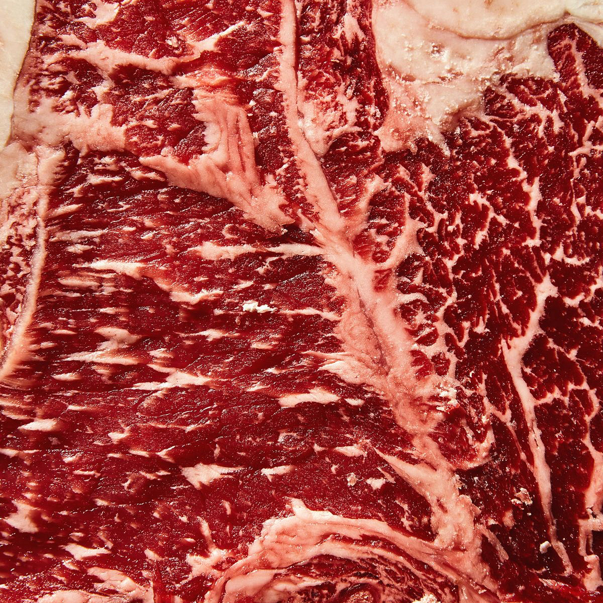 LA BELLA E GRASSS 500GR