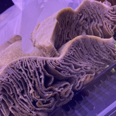 TRIPPA FRESCA NOSTRANA 500GR